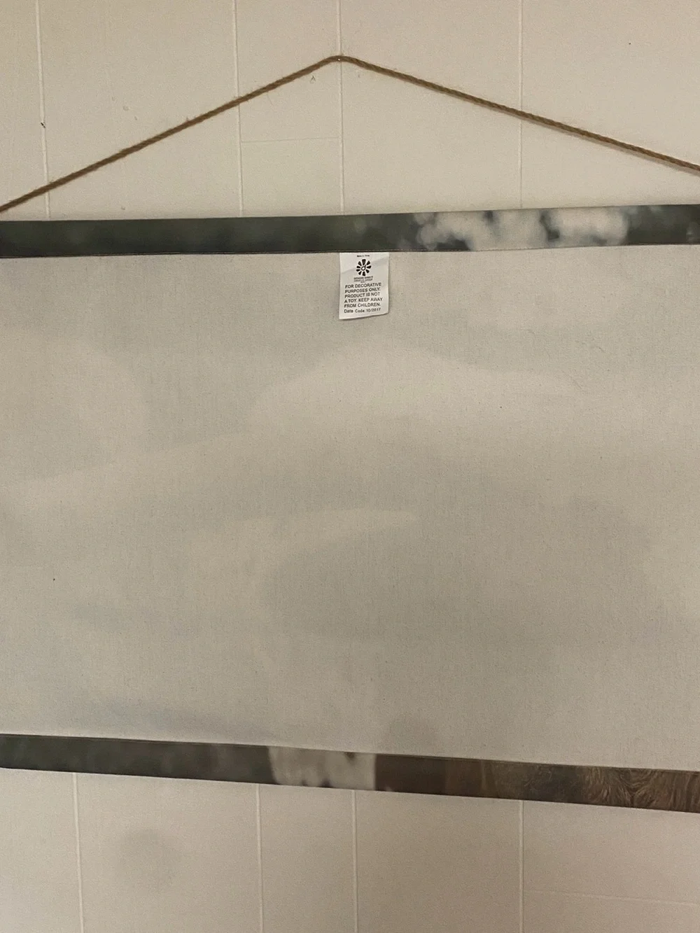 Hobby Lobby Longhorn Canvas Wall Hanging - Brown & White